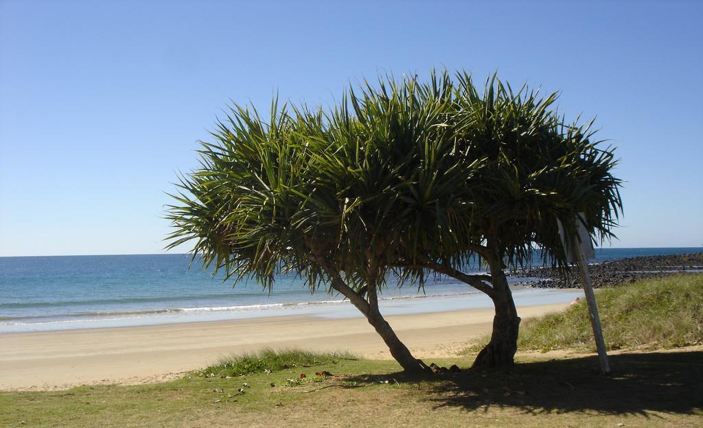 Koola Beach Apartments Bargara Exteriör bild